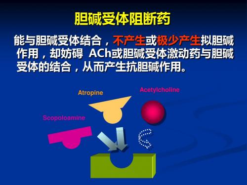 药理学 胆碱受体阻断药