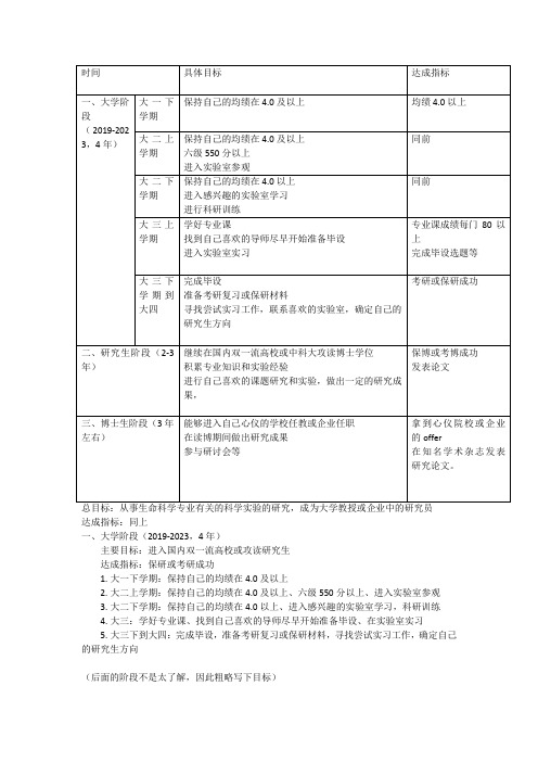 十年发展路径和主要目标范例