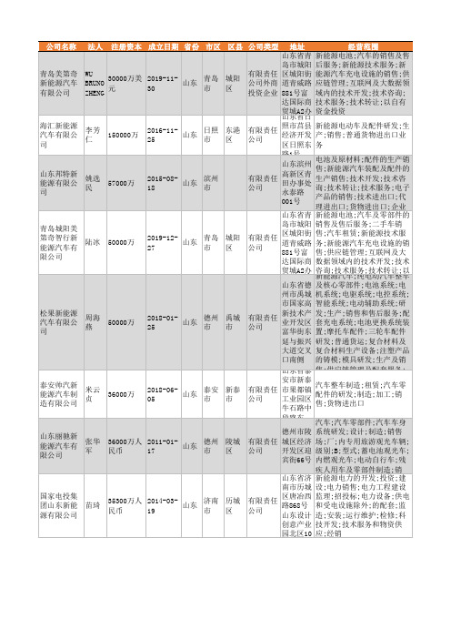 2021年山东省新能源行业企业名录5644家