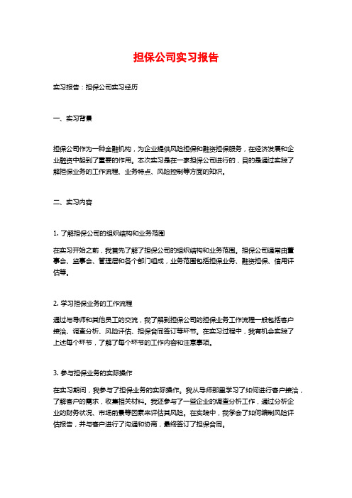 担保公司实习报告