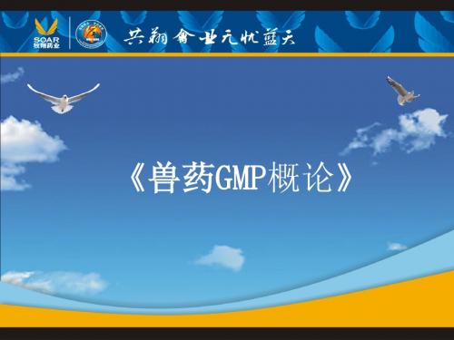 兽药GMP(质管部)