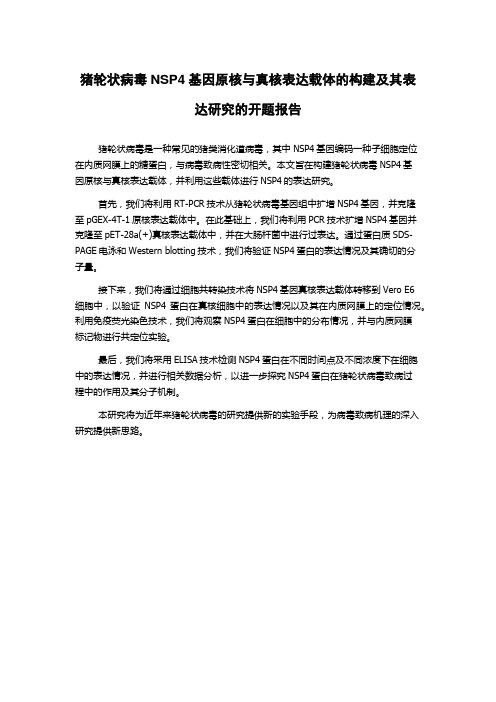 猪轮状病毒NSP4基因原核与真核表达载体的构建及其表达研究的开题报告