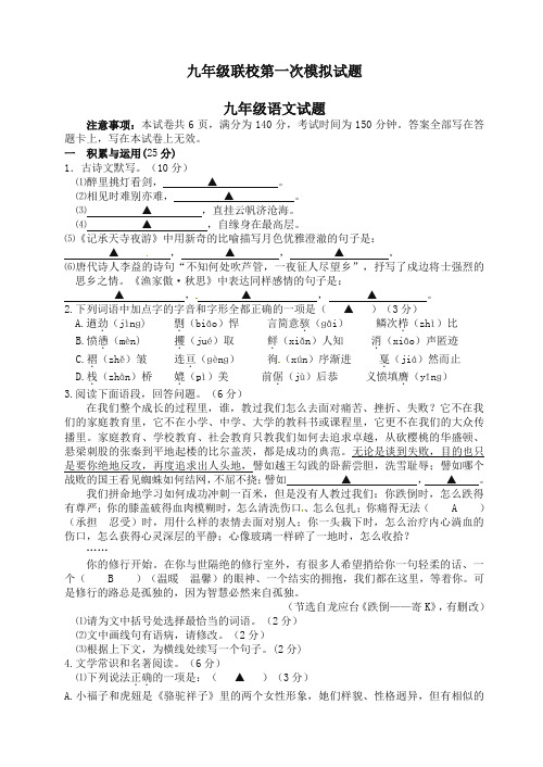 江苏省徐州市九年级语文下册第二学期期中(一模)试题【精选】.doc