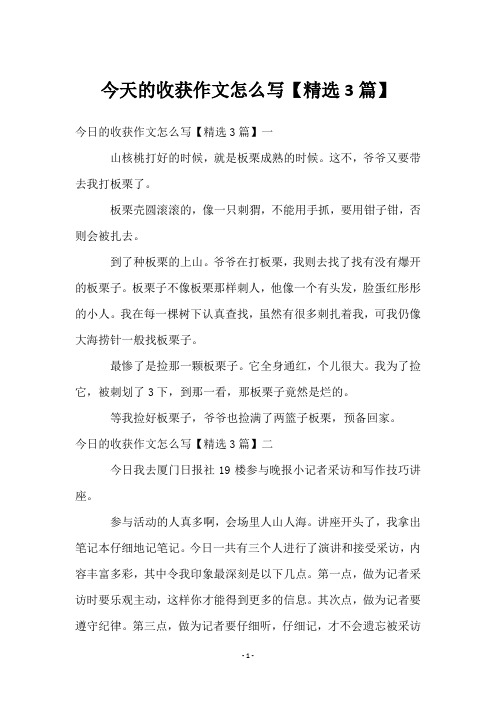今天的收获作文怎么写【精选3篇】