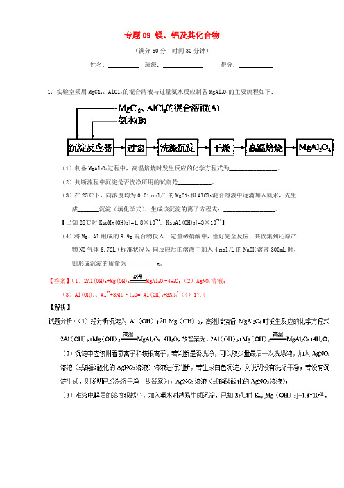 高考化学(第01期)大题狂练系列 专题09 镁、铝及其化合物(含解析)