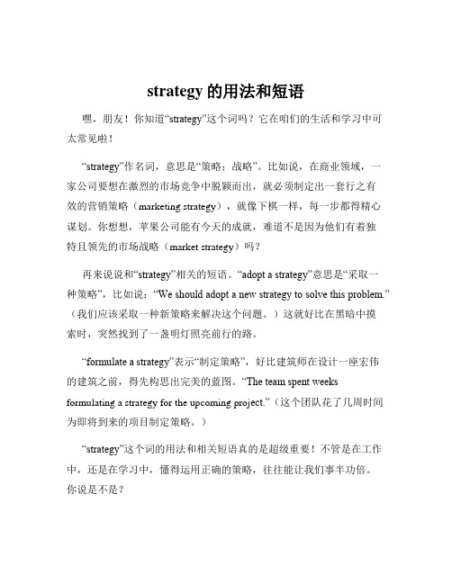 strategy的用法和短语