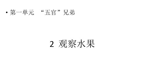 大象版小学一年级上册科学 第一单元 ”五官“兄弟 2 观察水果 课件