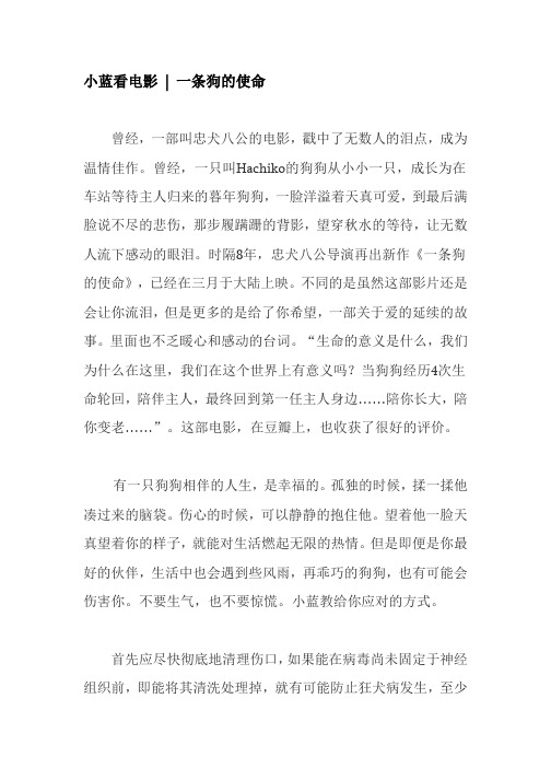 小蓝看电影一条狗使命