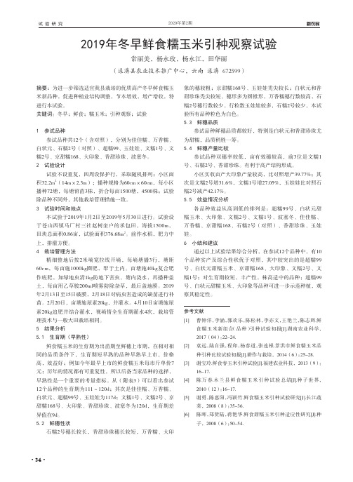 2019年冬早鲜食糯玉米引种观察试验