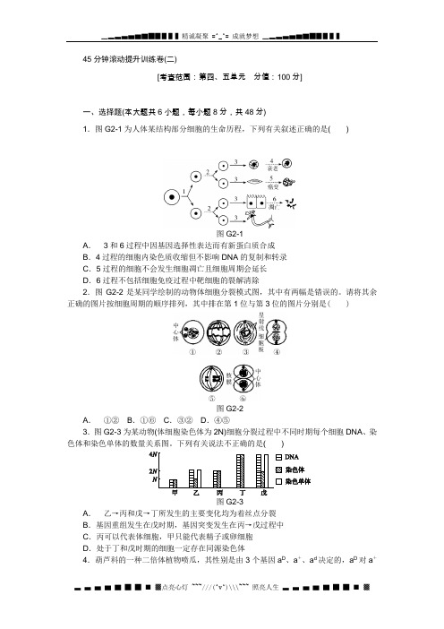 高考生物(新课标通用)一轮复习测评手册7 Word版含解析[ 高考]