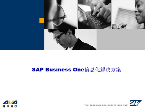 SAP Business One 标准解决方案说明