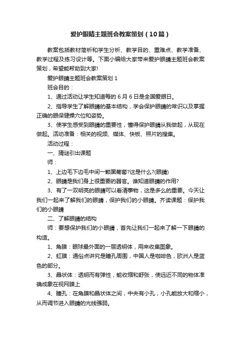 爱护眼睛主题班会教案策划（10篇）