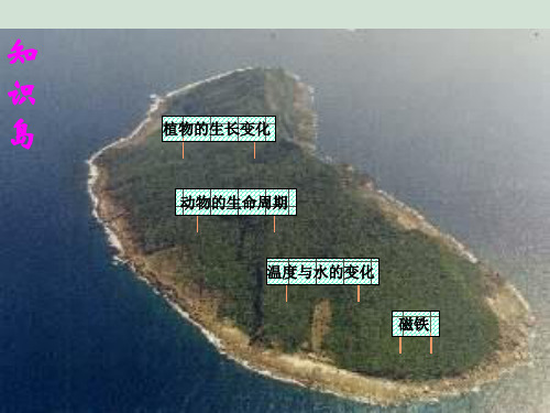 教科版三年级下册科学全套课件