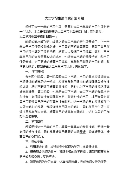 大二学习生活年度计划6篇