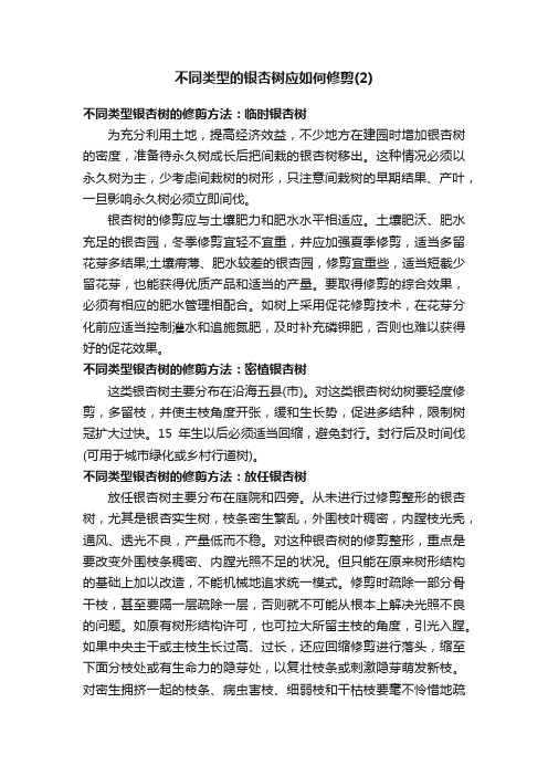 不同类型的银杏树应如何修剪（2）