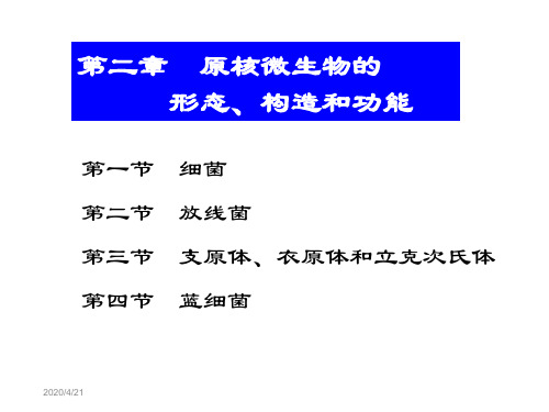 第二章-1原核微生物的形态、构造和功能