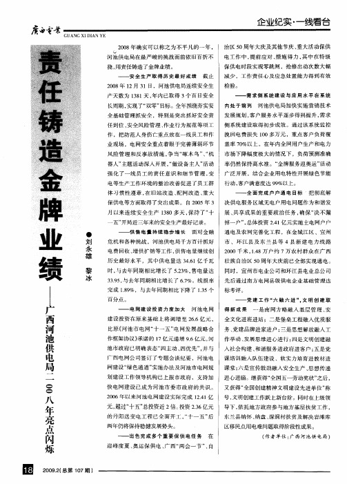 责任铸造金牌业绩——广西河池供电局2008年亮点闪烁