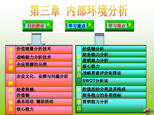 企业战略管理内部环境分析bvwu