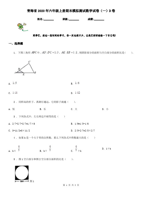 青海省2020年六年级上册期末模拟测试数学试卷(一)D卷