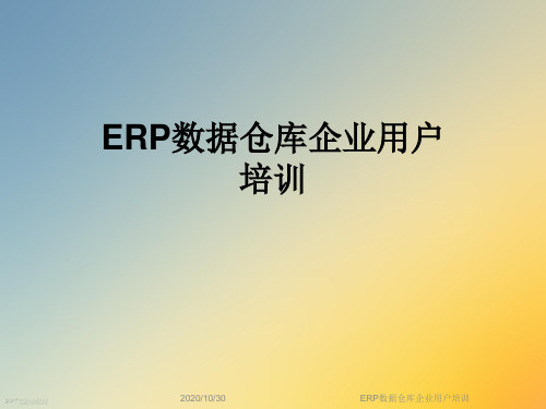 ERP数据仓库企业用户培训