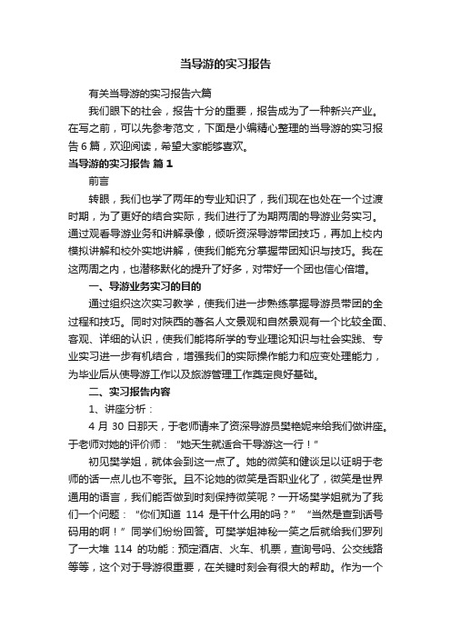 当导游的实习报告