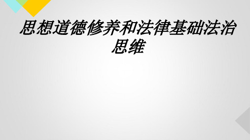 思想道德修养和法律基础法治思维专题培训课件