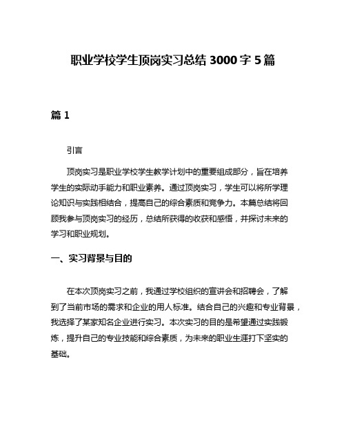 职业学校学生顶岗实习总结3000字5篇