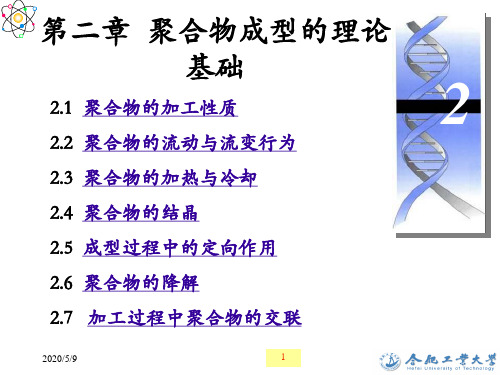 聚合物成型加工