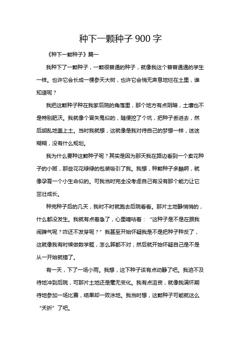 种下一颗种子900字