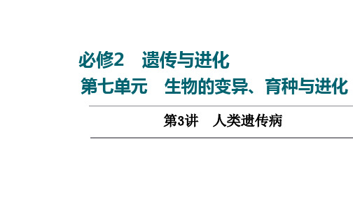 2022届高三一轮复习生物新高考全国通用版第7单元人类遗传病PPT