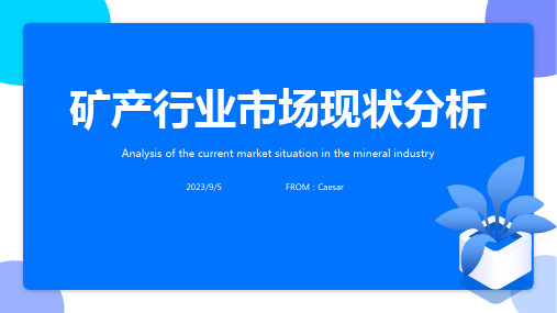 2023年中国矿产行业分析模板