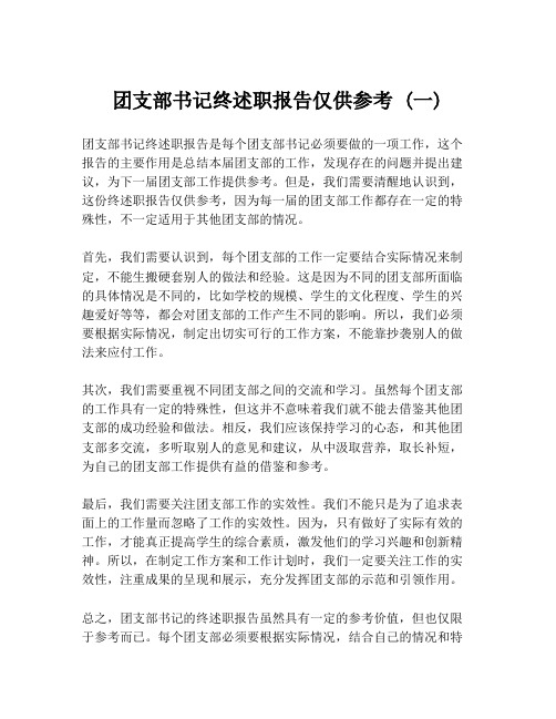 团支部书记终述职报告仅供参考 (一)