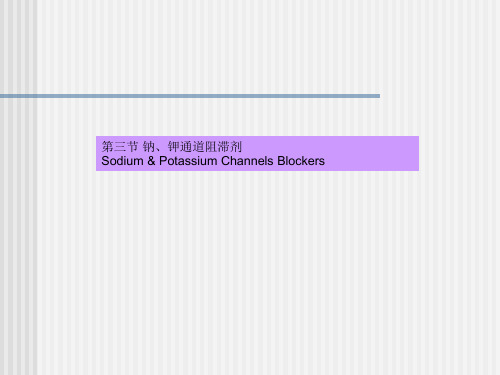 教学]钠离子钾离子通道阻滞剂