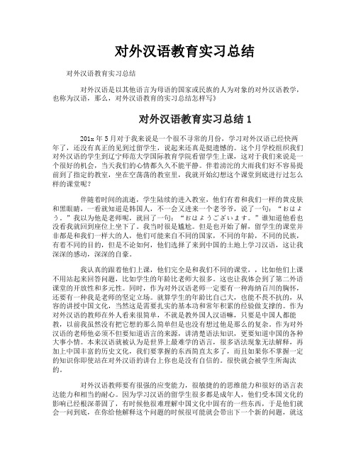 对外汉语教育实习总结