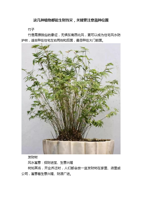 这几种植物都能生财挡灾，关键要注意栽种位置