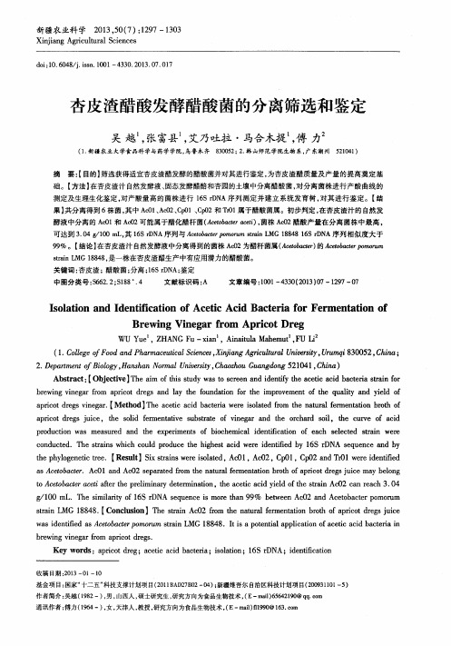 杏皮渣醋酸发酵醋酸菌的分离筛选和鉴定