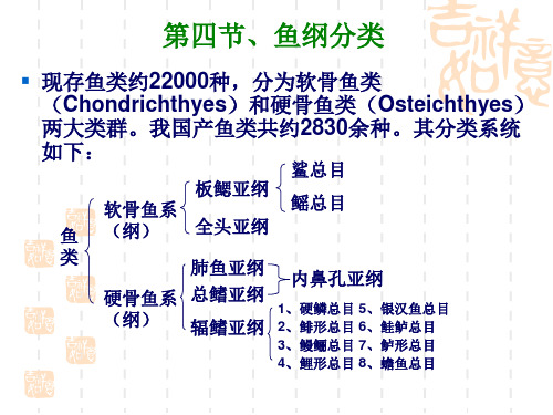 16章鱼纲(二)鱼纲分类