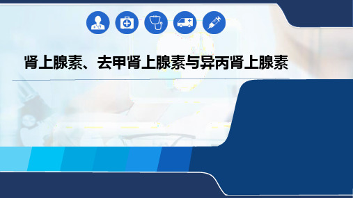 肾上腺素、去甲肾上腺素与异丙肾上腺素