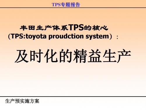 TPS导入报告