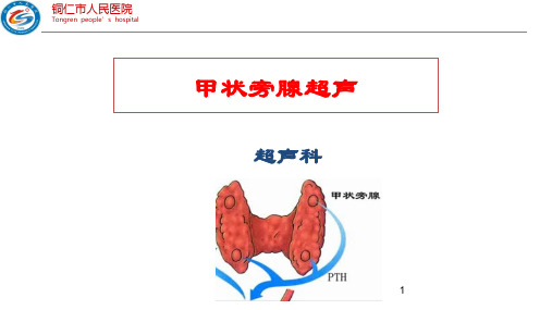 甲状旁腺超声PPT课件