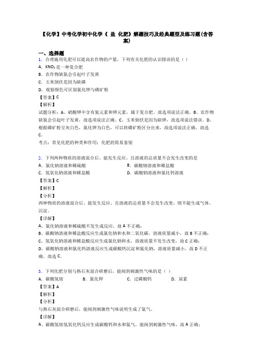 【化学】中考化学初中化学《 盐 化肥》解题技巧及经典题型及练习题(含答案)