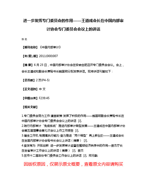 进一步发挥专门委员会的作用——王道成会长在中国内部审计协会专门委员会会议上的讲话