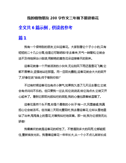 我的植物朋友200字作文三年级下册迎春花