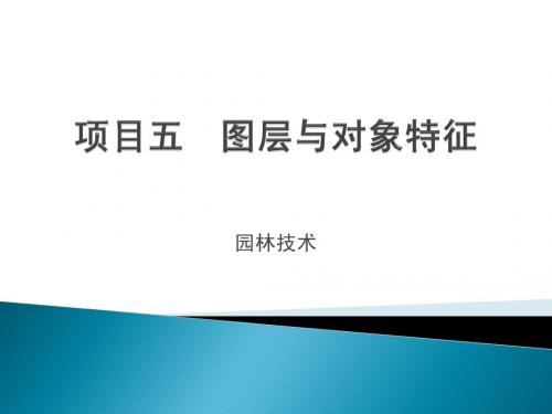 项目五 图层与对象特征