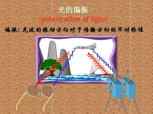 大学物理第6章-光的偏振-PPT精选文档36页