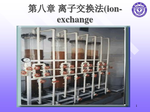 (生物制药工艺学)第八章离子交换法(ion-exchange