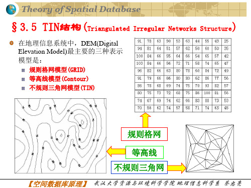 TIN数据结构