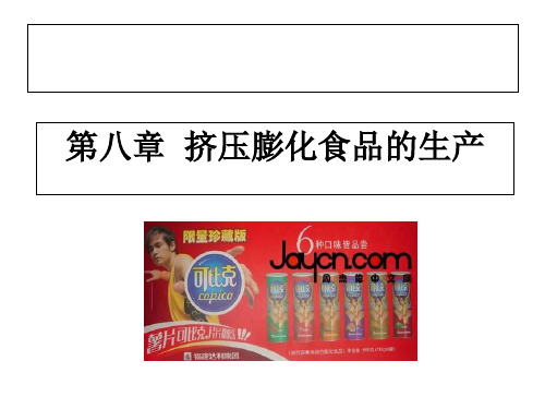 食品粮油加工挤压膨化食品的生产PPT课件讲义