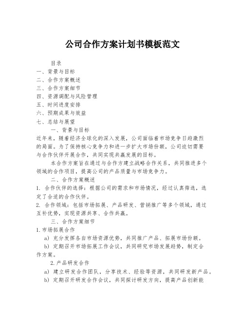 公司合作方案计划书模板范文