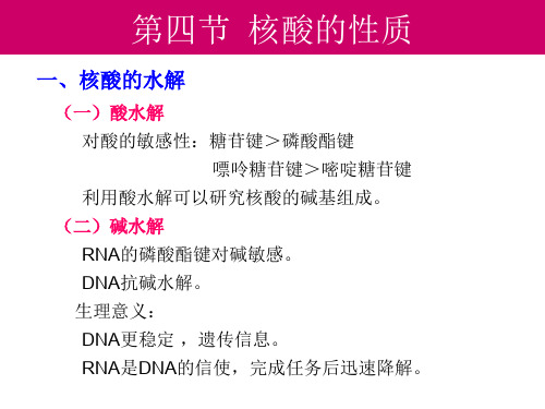 限制性核酸内切酶与DNA物理图谱构建